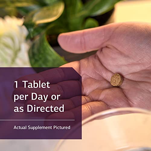 Standard Process Iodomere - Whole Food Metabolism and Thyroid Support with Echinacea Standard Process Inc.