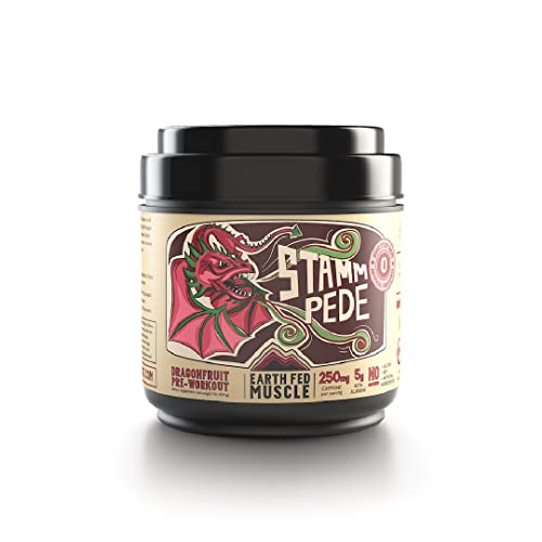 Earth Fed Muscle Stammpede DragoFruit Punch Pre Workout, 30 Servings, Boost Energy