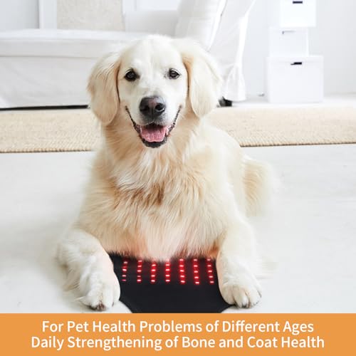 SUNNYOUNG Red Light Therapy Belt, Infrared Light Therapy Wrap Muscle Relaxing Belt with 120 LED Lights sunnyoung