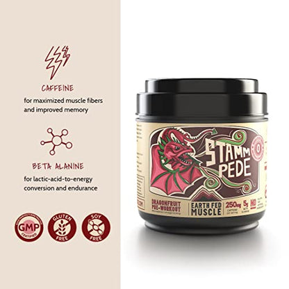 Earth Fed Muscle Stammpede DragoFruit Punch Pre Workout, 30 Servings, Boost Energy, Increase Endurance and Focus, Beta-Alanine, 250mg Caffeine, Citrulline Malate, Taurine, Tyrosine - Keto, No Sugar
