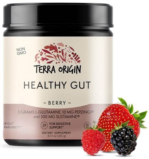 TERRA ORIGIN Healthy Gut Powder (Berry Flavor) |30-Servings with L-Glutamine, Zinc