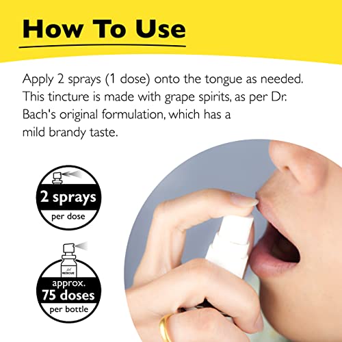 Day & Night Bundle, Bach RESCUE REMEDY Spray, Natural Stress Relief [and] RESCUE SLEEP Spray RESCUE