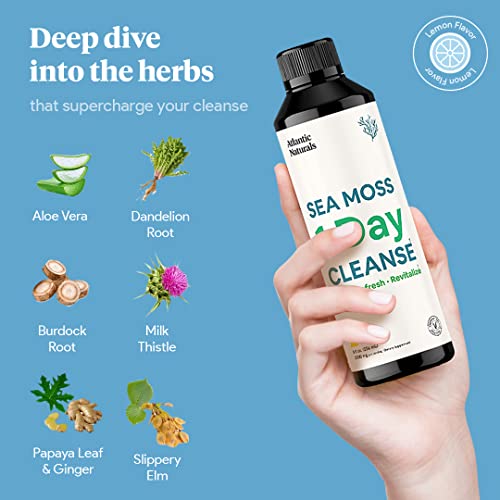 Sea Moss 1 Day Cleanse - Full Body Detox to support bowel movements, Kidney Health Atlantic Naturals