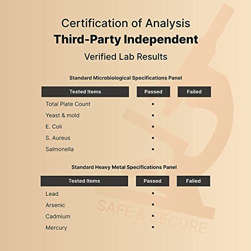 NatureBell CoQ10 (Ubiquinone) 200mg with PQQ, 240 Veggie Capsules | Stable High NatureBell