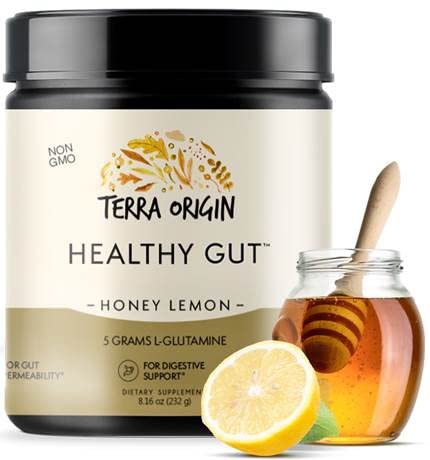 TERRA ORIGIN Healthy Gut Powder (Honey Lemon) | 30-Servings with L-Glutamine