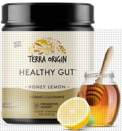 TERRA ORIGIN Healthy Gut Powder (Honey Lemon) | 30-Servings with L-Glutamine TERRA ORIGIN
