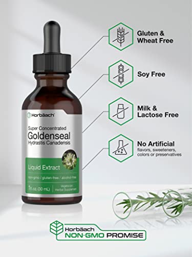 Goldenseal Root Extract Liquid | 1 fl oz Tincture | Super Concentrated | Alcohol Free