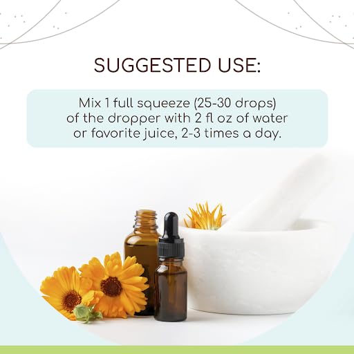 Blue Vervain B120 Alcohol-Free Herbal Extract Tincture, Concentrated Liquid Drops Natural Blue Vervain HerbEra