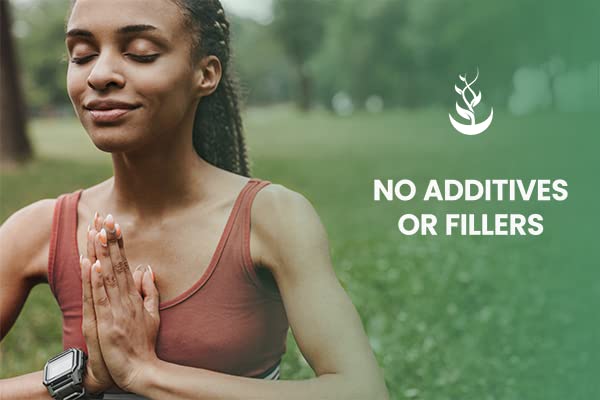 PURE ORIGINAL INGREDIENTS Yerba Mate (365 Capsules), No Magnesium Or Rice Fillers PURE ORIGINAL INGREDIENTS