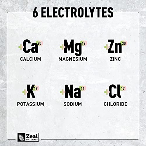 Enhanced Electrolyte Powder (Strawberry Kiwi | 90ct.) Sugar Free + BCAA, B-Vitamins Zeal Naturals