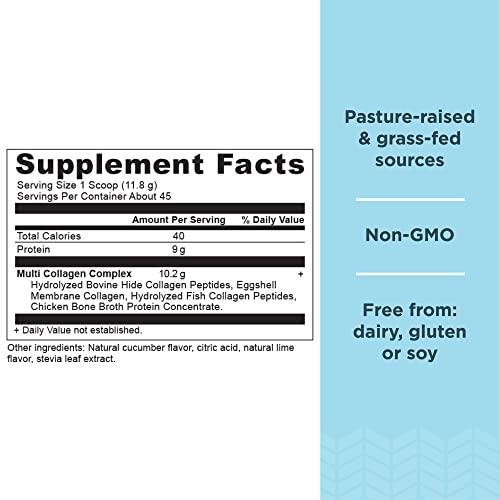 Ancient Nutrition Collagen Powder Protein, Multi Collagen Protein, Cucumber Lime, Hydroly Ancient Nutrition