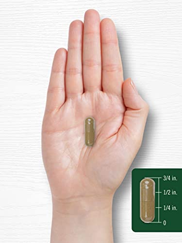 Carlyle Dandelion Root Capsules 1800mg | 300 Count | Non-GMO, Gluten Free 