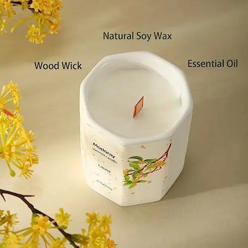 Modoray Scented Candle, Candles for Home Scented, Aromatherapy Candle，Long Lasting Natural Modoray