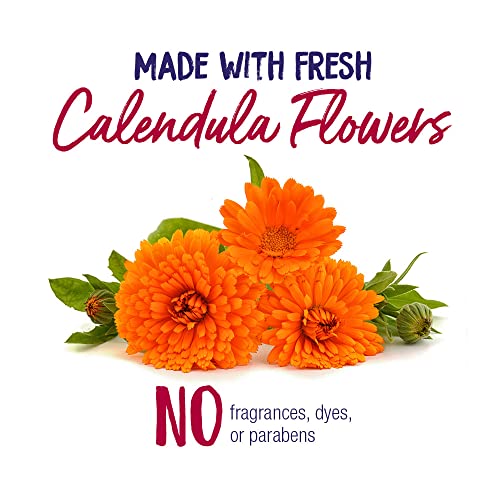 Boiron Calendula Cream for First Aid, Minor Burns, Cuts, Scrapes, Insect Bits and Sunburn - 2.5 oz Boiron