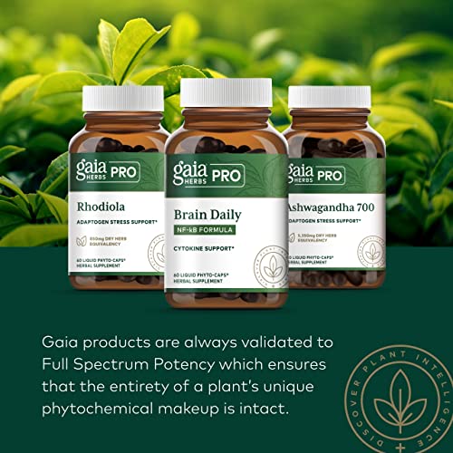 Gaia Herbs Pro Female Hormone Support - Menopause Supplement for Women - with Vitex Gaia Herbs