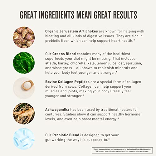 ROUNDHOUSE PROVISION Morning Kick, Powder Supplement for Healthy Digestion ROUNDHOUSE PROVISION