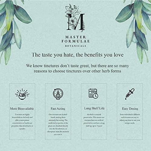 Master Formulae Vitex Chasteberry Herbal Tincture | Extra Strength, Higher Bioavailability Than Pills M MASTER FORMULAE BOTANICALS