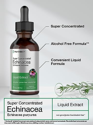 Echinacea Drops Liquid Extract | 2 fl oz | Super Concentrated Tincture | Alcohol Free