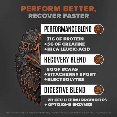 Birdman Falcon Performance Vegan Protein Powder, 31g Protein, 5g Creatine, 5g BCAA BIRDMAN