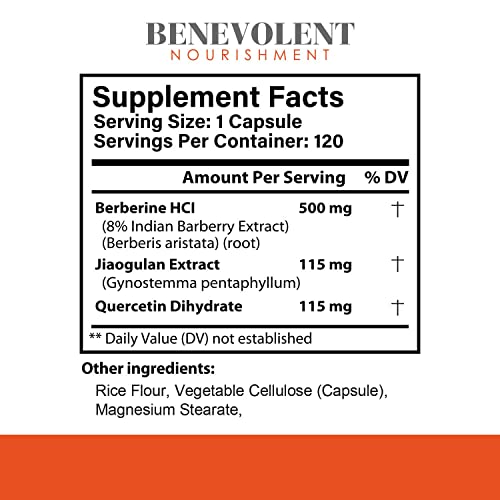 Premium Berberine HCL 730mg - 120 VCAPS Perfect Trio Complex with Non-GMO Jiaogulan Benevolent Nourishment