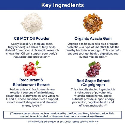 Gundry MD MCT Wellness Powder to Support Energy, Ketone Production and Brain Health