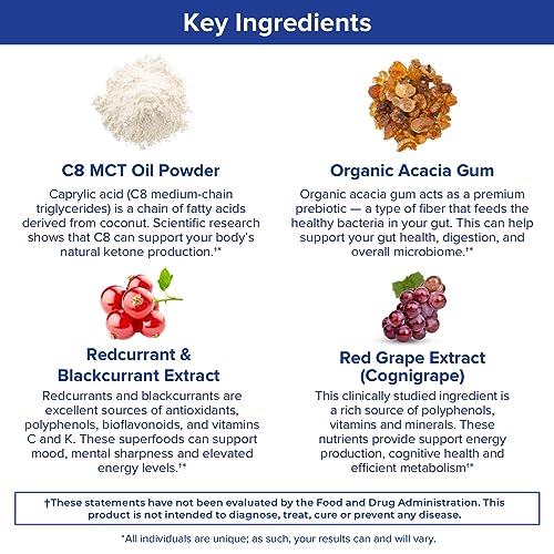 Gundry MD MCT Wellness Powder to Support Energy, Ketone Production and Brain Health