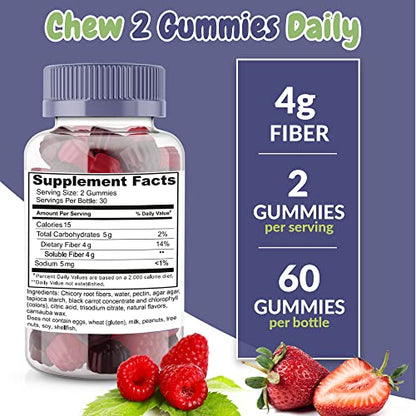 Fiber Prebiotic Gummies Sugar Free, Keto Friendly 2 Pack | Gut Cleansing, Digestive Health