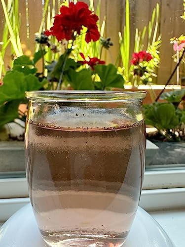 1Balance Living Menopause Support Tea: Cooling Hibiscus Mint, Perimenopause