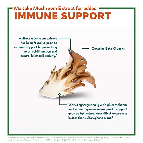 Avmacol Extra Strength #1 Researched Sulforaphane-Producing Brand for Detoxification Nutramax Laboratories