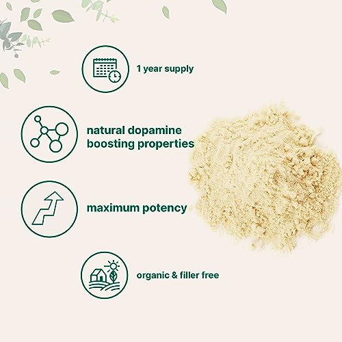 Micro Ingredients Organic Mucuna Pruriens Extract Powder,1 Pound (908 Servings) Micro Ingredients