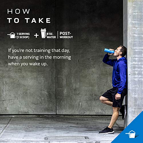 Creatine Monohydrate Powder MuscleTech Cell-Tech Creatine Powder Post Workout 