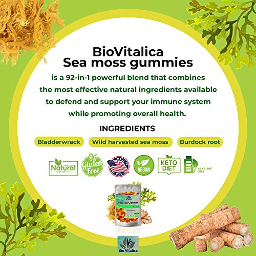 Sea Moss Gummies - Irish sea Moss raw Organic, Bladderwrack, Burdock Root BIO VITALICA