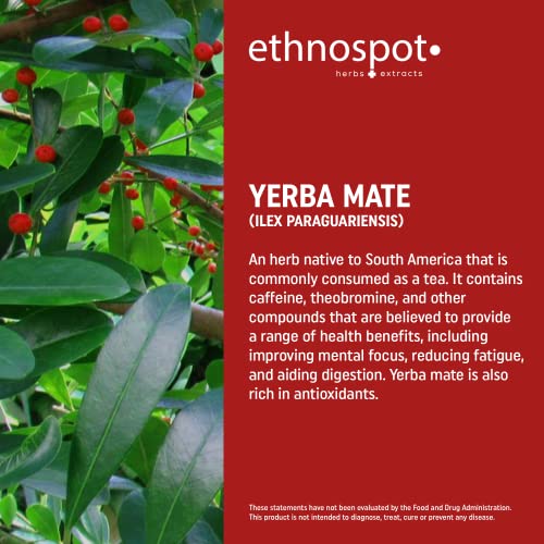 Full Spectrum Yerba Mate Capsules - Boosts Energy & Mental Focus - Supports Health Ethnospot