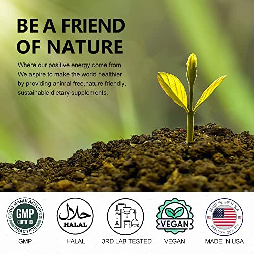 Keto Diet Pills Plus Apple Cider Vinegar - Exogenous Ketones Supplement for women men VEGEPOWER