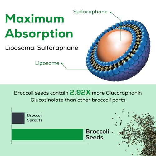 Osasuna Liposomal Sulforaphane 450MG, Maximum Absorption