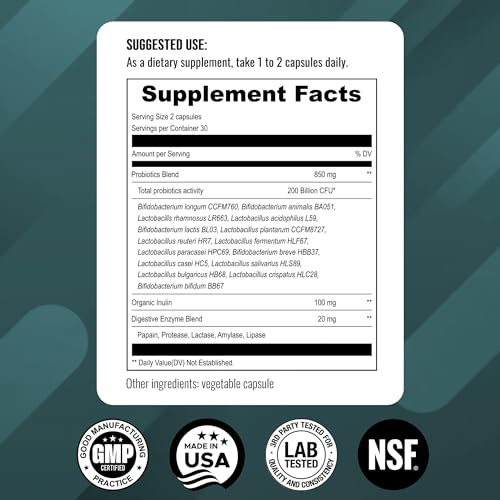 UpNourish Probiotics - 200 Billion CFUs, 15 Strains, Prebiotics & Enzymes - 60 Vegan Cap UpNourish