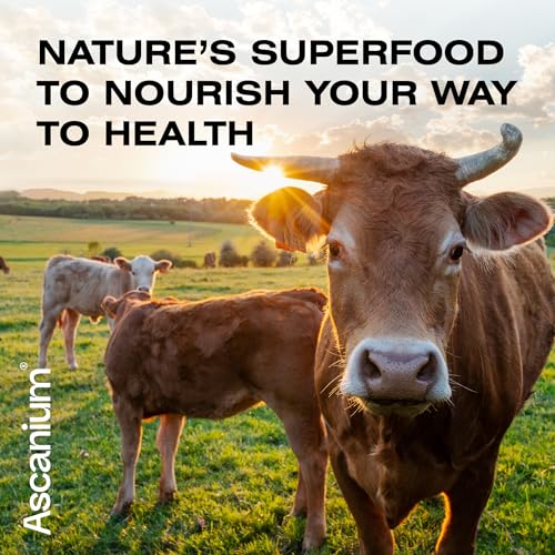 Colostrum Powder - Grass-Fed 40% IgG Colostrum Supplement Powder - Bovine Ascanium