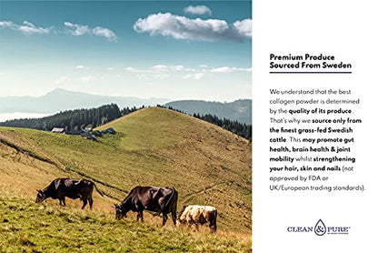 Clean & Pure Collagen Powder, Lab Tested Bovine Peptides with No or Zero Growth Hormones, Pesticides or Vet Meds - 400g