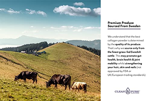 Clean & Pure Collagen Powder, Lab Tested Bovine Peptides with No or Zero Growth Hormones, Pesticides or Vet Meds - 400g Lean Caffeine