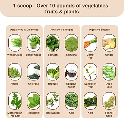 Detox Organics Chocolate Superfood Powder, Detox Cleanse for your Body, Bloating Relief