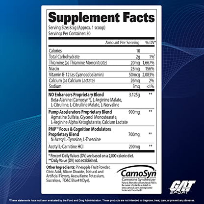 GAT SPORT PMP (Peak Muscle Performance), Pre-Workout, 30 Servings (Blue Raspberry