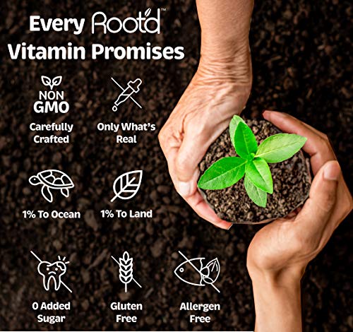 Rootd - Powder Prenatal Vitamin - Pregnancy Multivitamin with 25 Vitamins & Minerals A, C, D, E Root'd