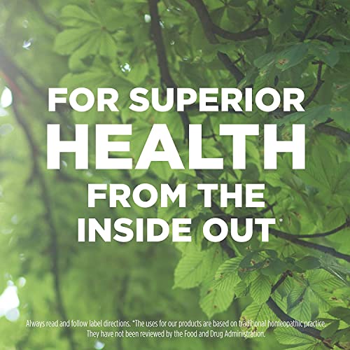 Hyland's Naturals No. 7 Cell Salt Kali Sulph 6X Tablets, Cystic Acne and Acne Scare Treatment Hyland's