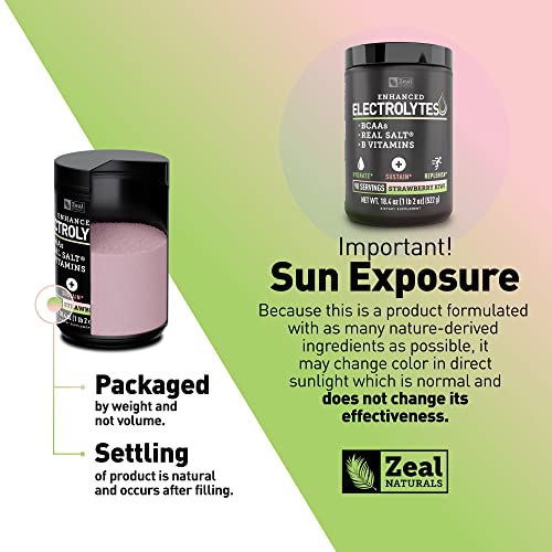 Enhanced Electrolyte Powder (Strawberry Kiwi | 90ct.) Sugar Free + BCAA, B-Vitamins Zeal Naturals