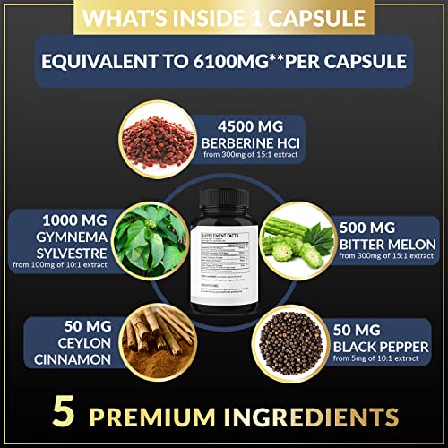 BMVINVOL 5-in-1 Berberine Supplement 6100mg with Ceylon Cinnamon, Gymnema Sylvestre BMVINVOL