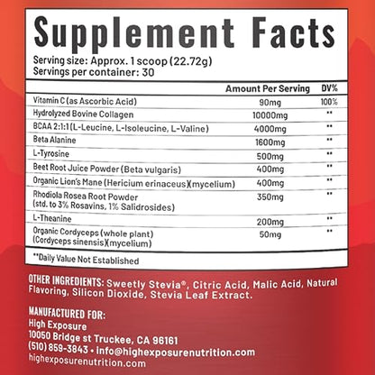 High Exposure Pre Workout Energy Mix | Pre Workout Powder for Men and Women | Endurance, Power, Strength | Beta-Alanine, BCAAs, L-Theanine, Beetroot (Fruit Punch - Caffeine Free)