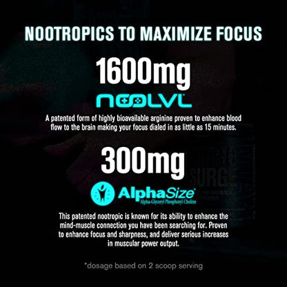 Jacked Factory Nitrosurge Max Nootropic Pre Workout Powder - Premium Pre Workout