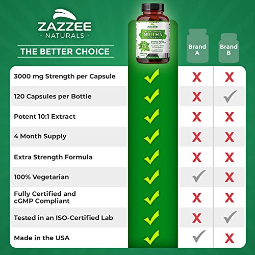 Zazzee Extra Strength Mullein 10:1 Extract, 3000 mg Strength, 120 Vegan Capsules