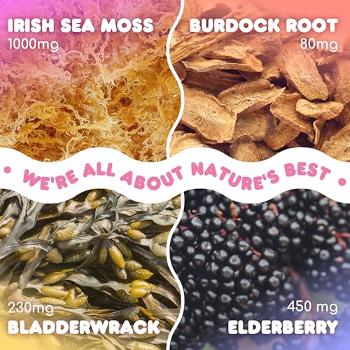 Biolore Sea Moss Gummies with Elderberry, Contains Irish Sea Moss, Organic Extract Biolore