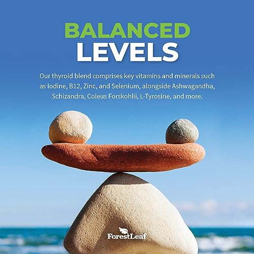 Thyroid Support for Women and Men with Iodine - Energy, 60 Vegetarian